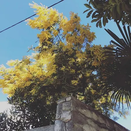 Lejlighed Mypalmassuite With Free Parking In